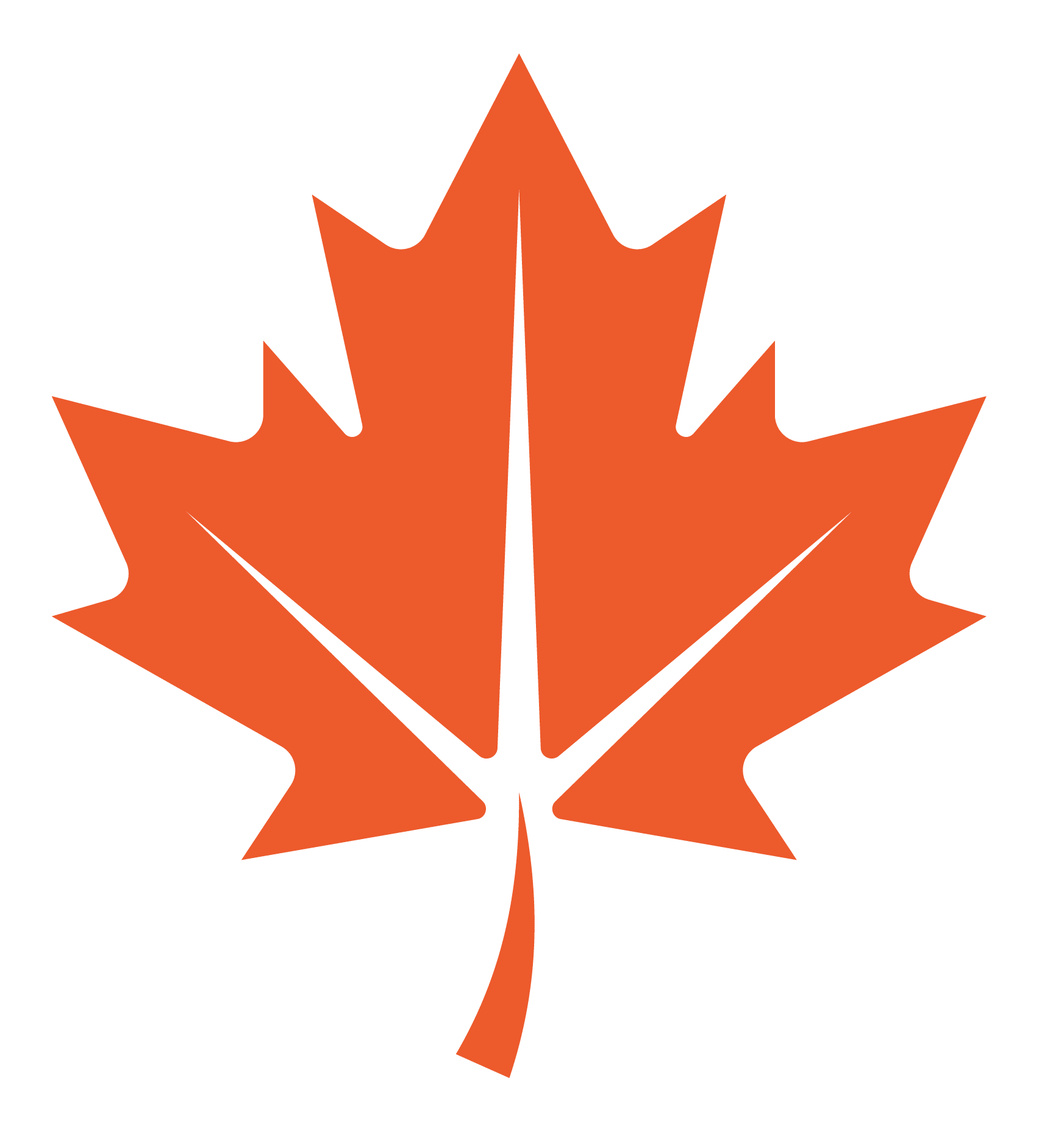 Maple Leaf